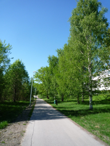 フィンランド暮らしの嫁日記-遊歩道